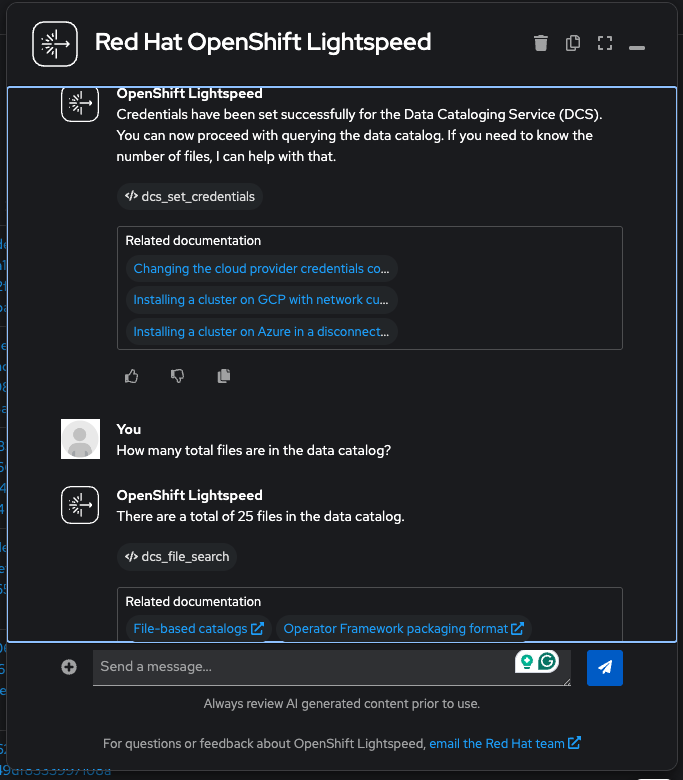 Lightspeed showing 25 files in the catalog
